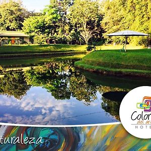 Hotel Colores Del Arenal